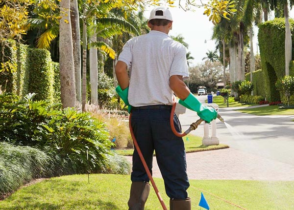 About Orient IL Pest Control